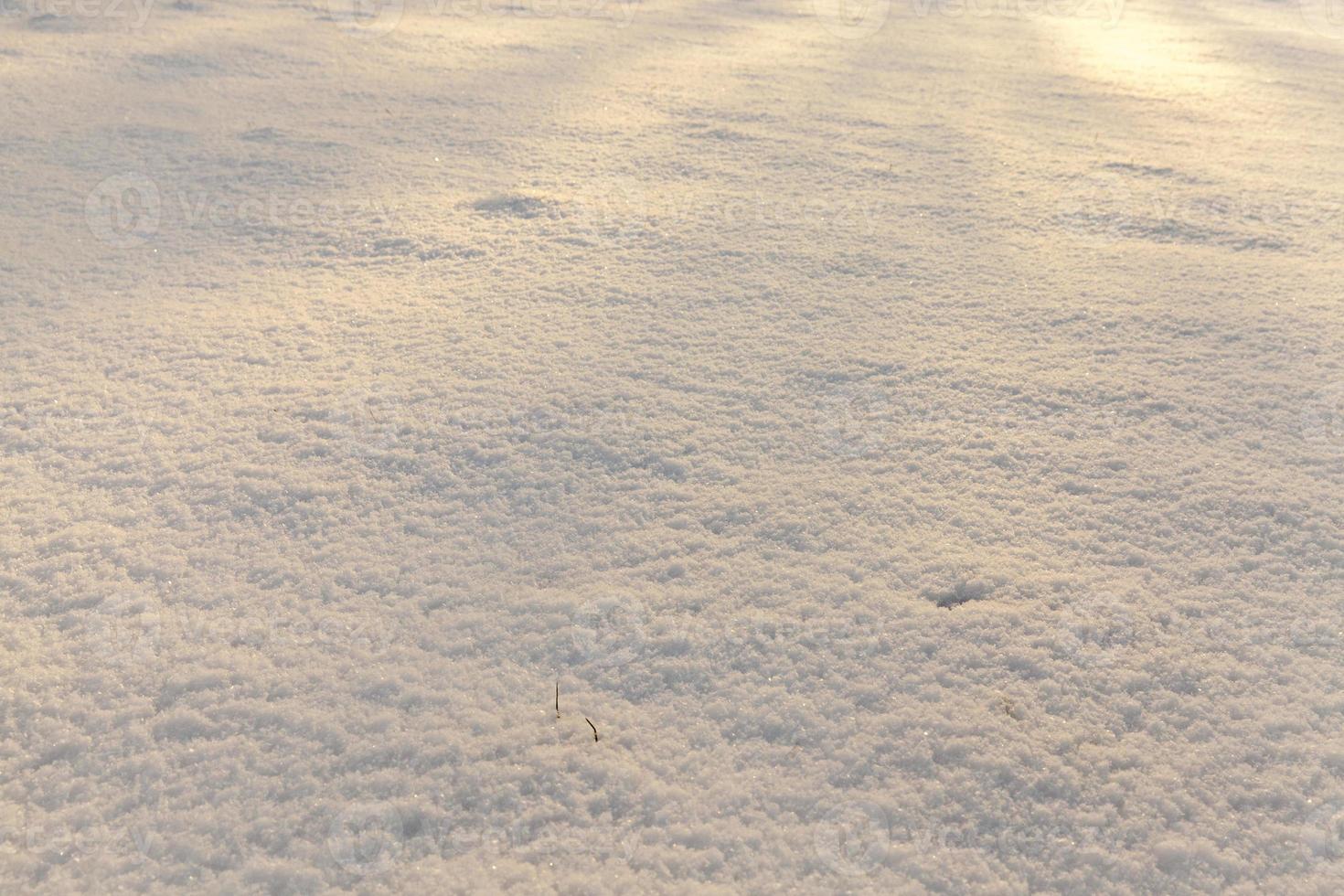 Snow drifts in winter photo