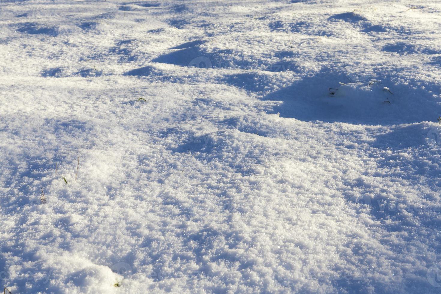 After snowfall, close up photo