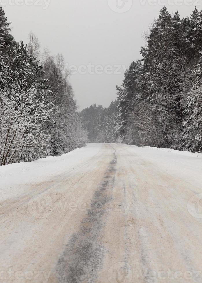 camino de invierno bajo la nieve foto