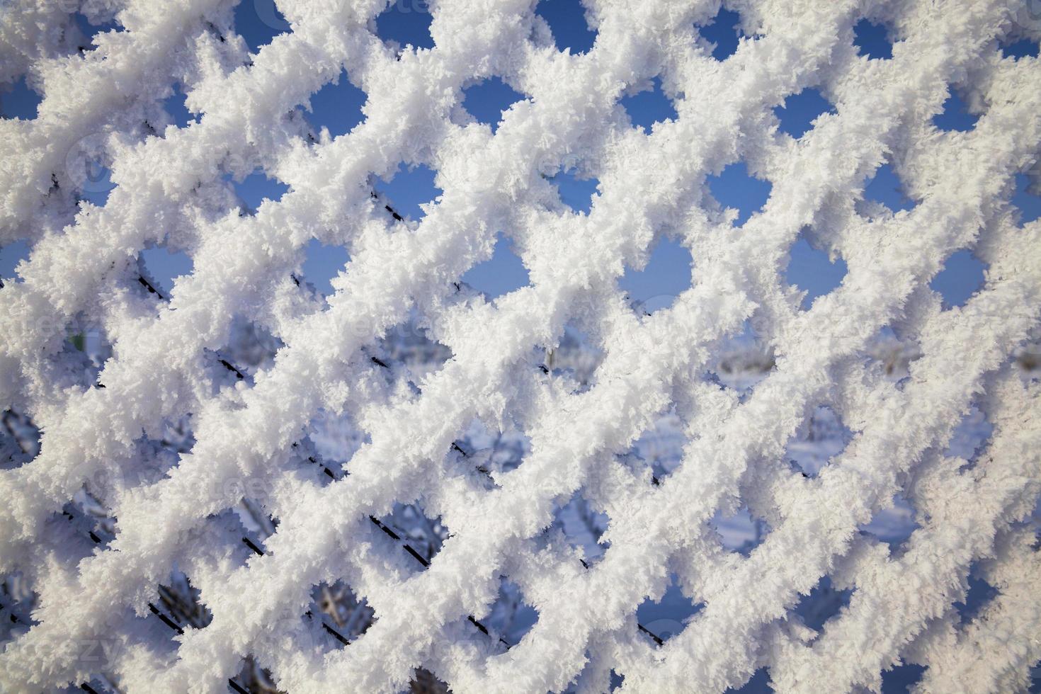 metal fence mesh photo