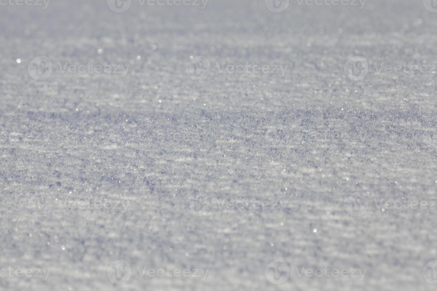 Deep snowdrifts   white snow in the winter season. Photo in frosty morning