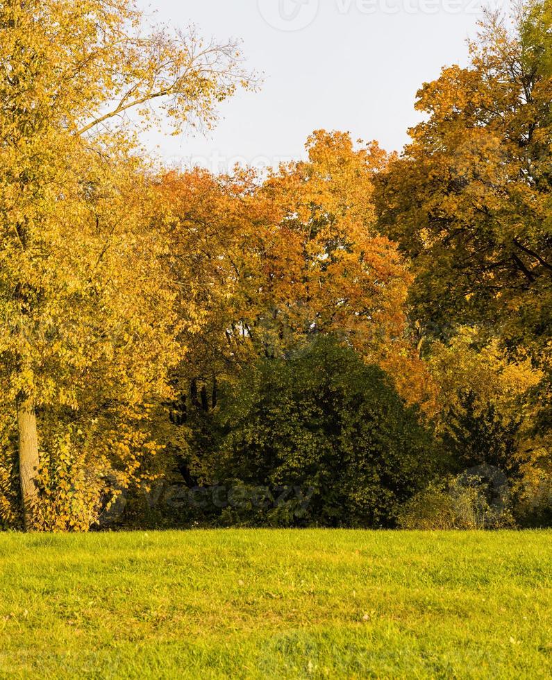 Autumn colorful landscape photo