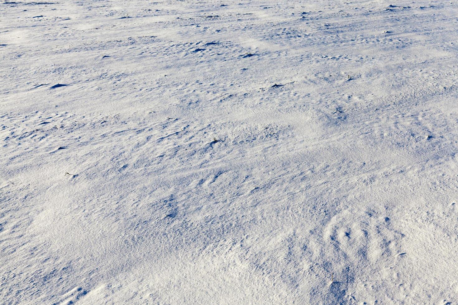 snow covered soil surface close up   snow covered soil surface is not smooth. Photographed close up. photo