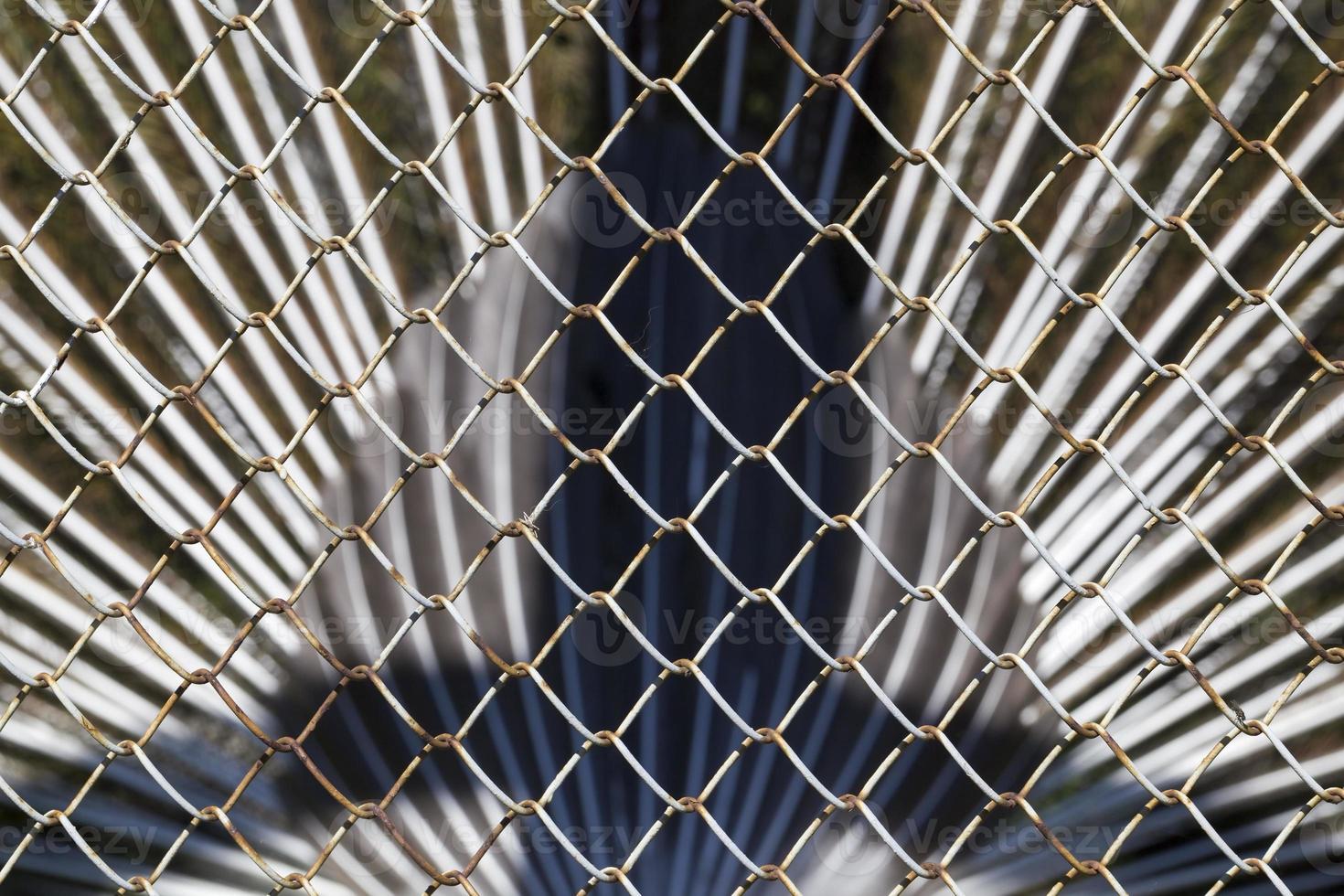 old metal fencing photo