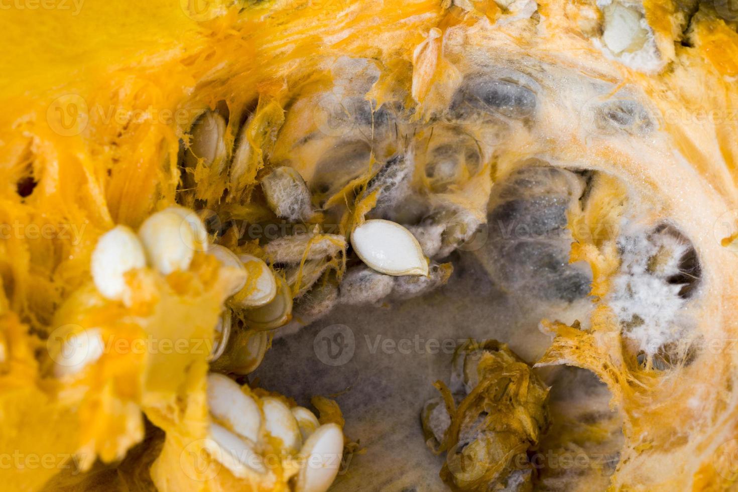 Cut rotten pumpkin photo