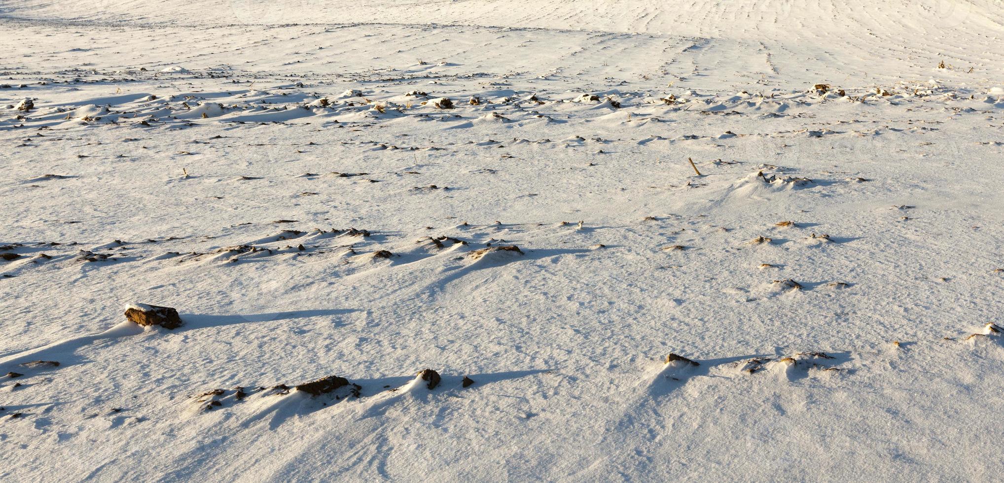 Snow after snowfall photo