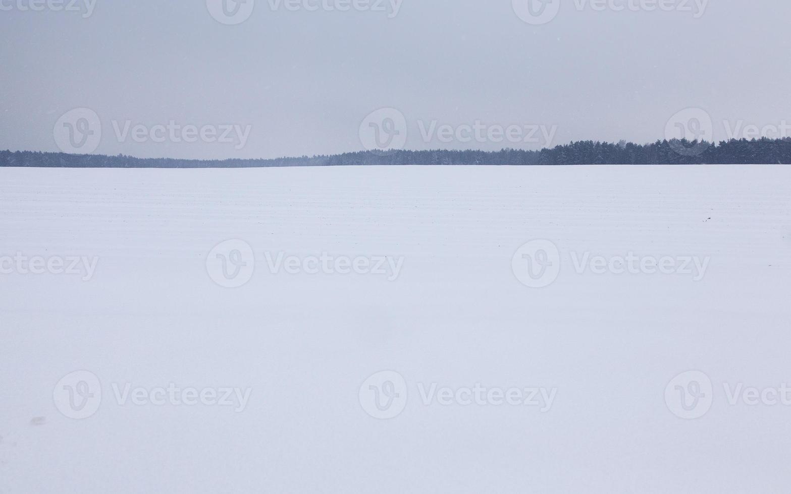 Winter landscape, snowfall photo