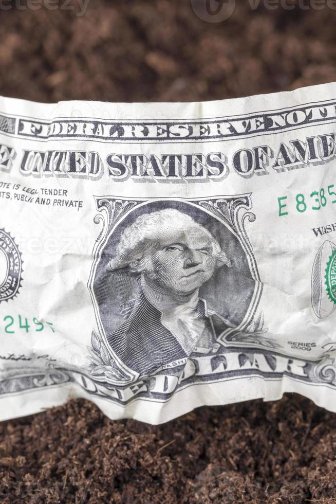 American money , field photo