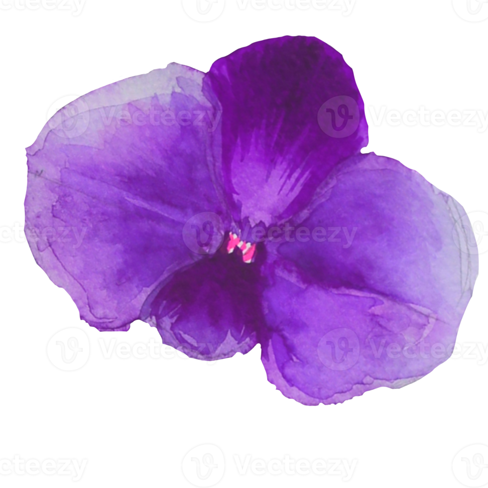 purple orchid flower png