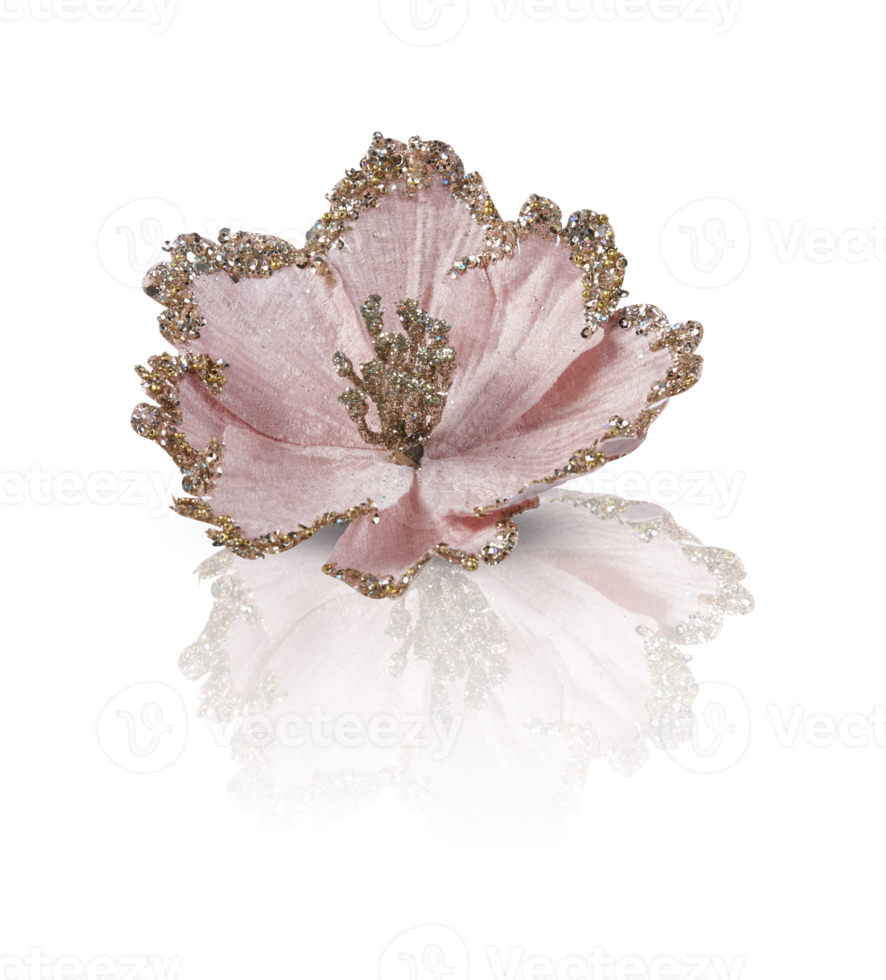Christmas fabric flowers isolated on white background with clipping path png