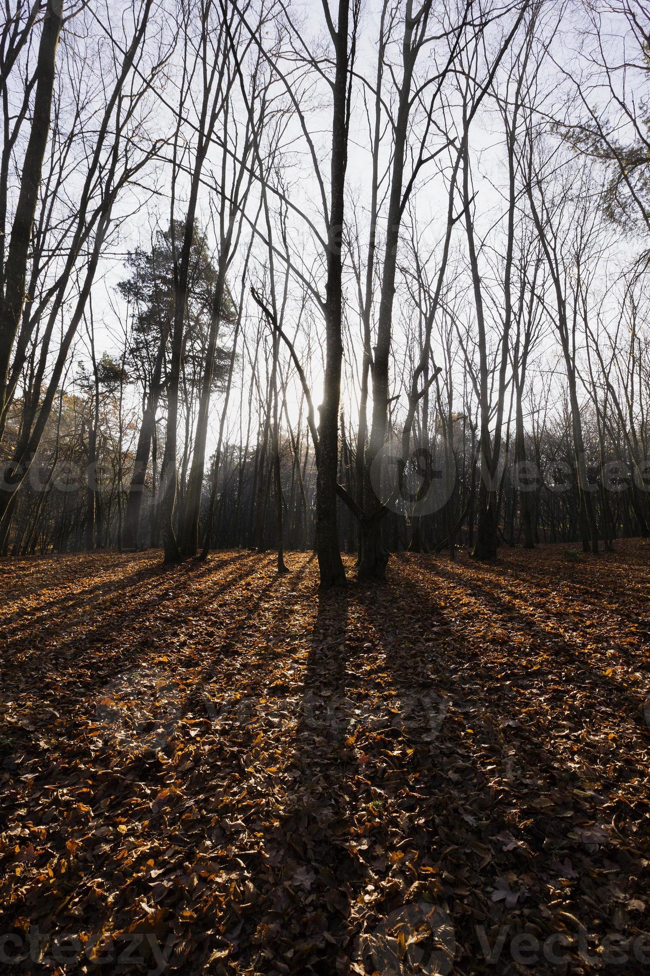 dull landscape in autumn 9419314 Stock Photo at Vecteezy dull landscape in autumn 9419314 Stock Photo at Vecteezy