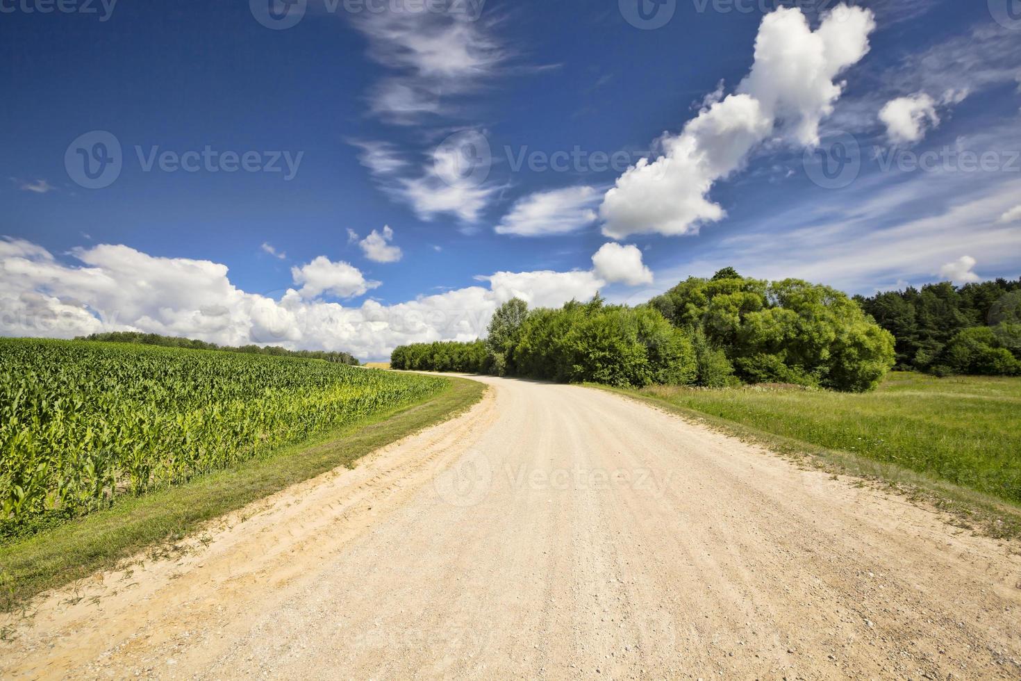 sandy country road photo