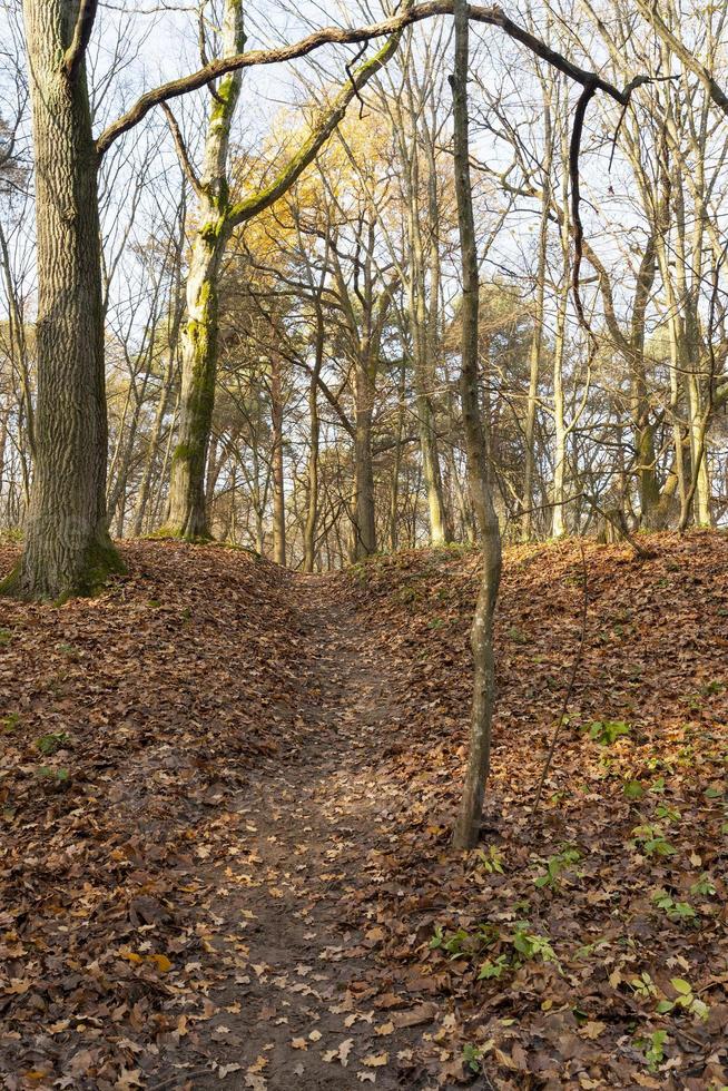 dull landscape in autumn photo