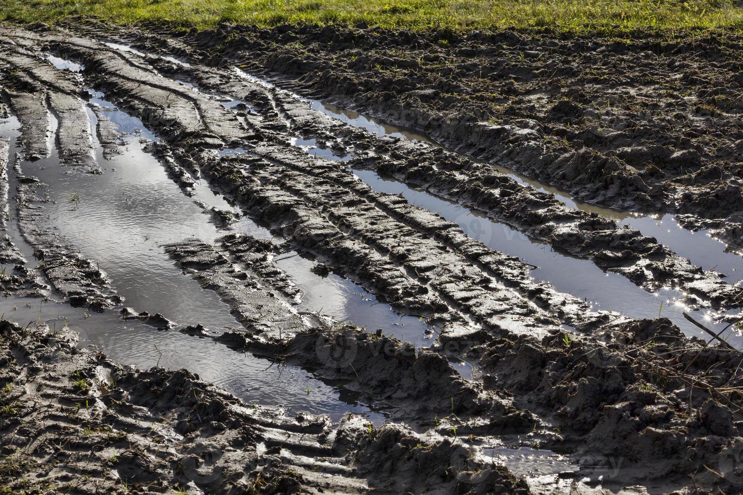 track on the soil photo