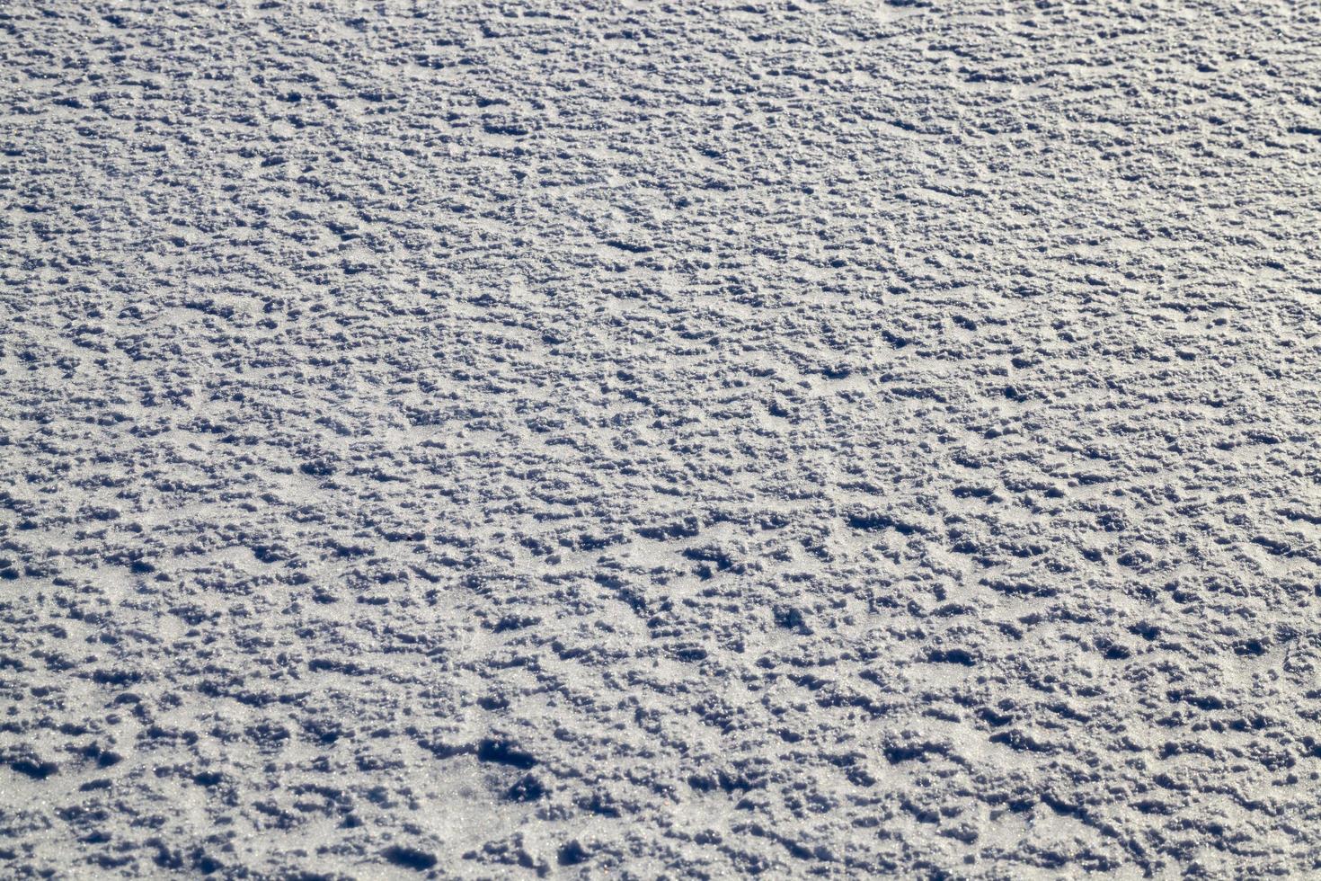 Sunny frosty weather photo