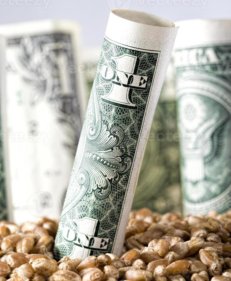 American dollar with other cash photo
