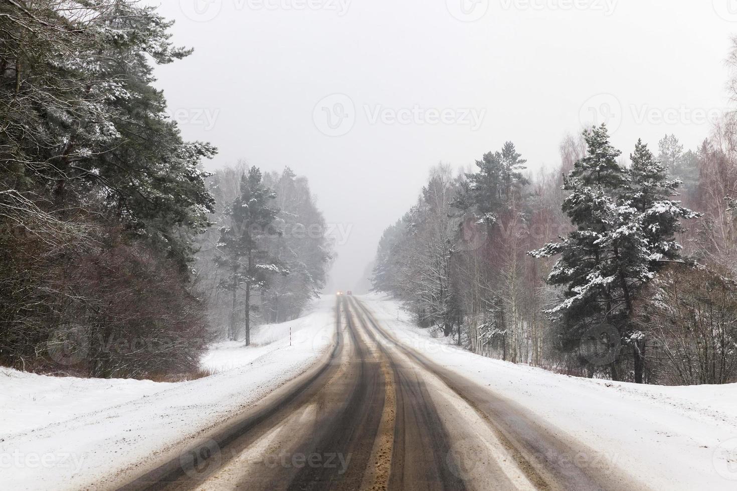 winter road, forest photo