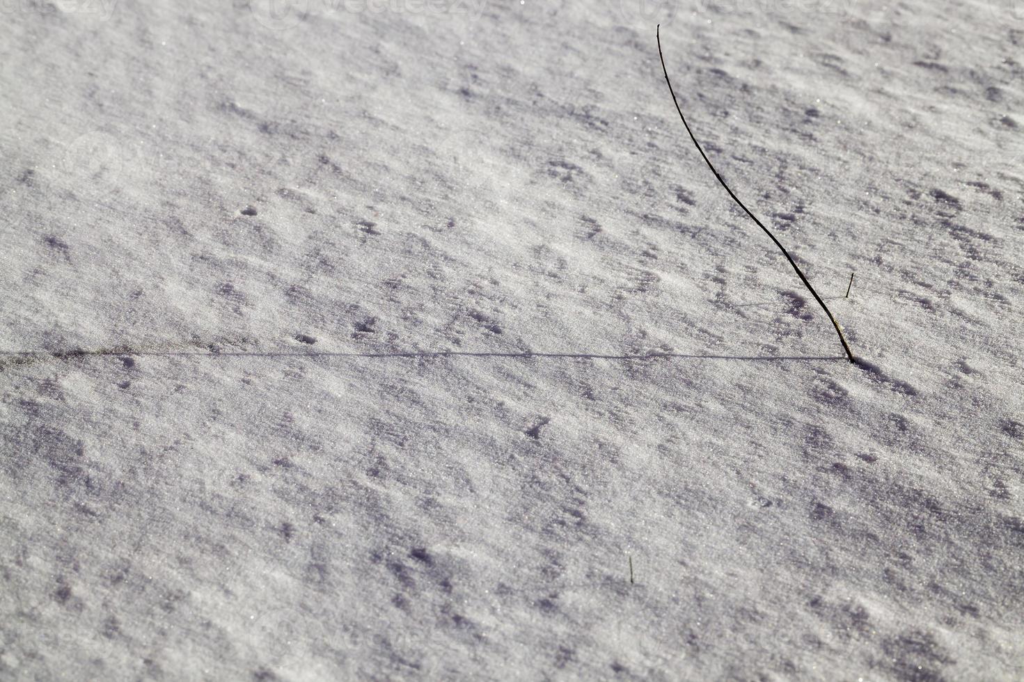 surface of the snow photo