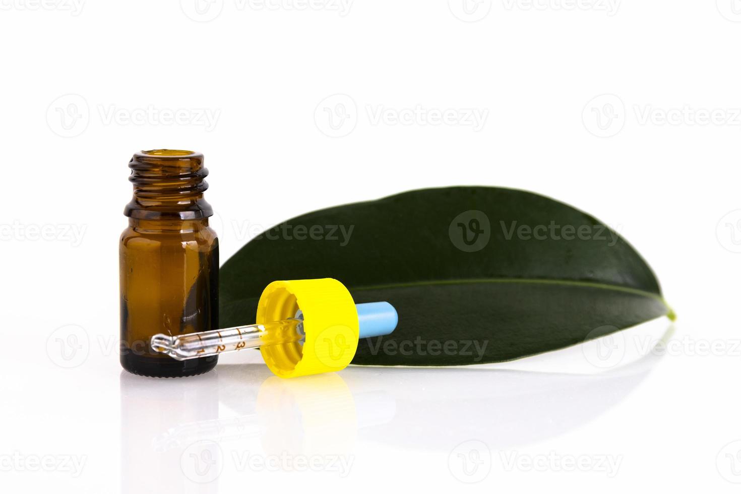 Blank amber glass essential oil bottle with pipette on green leaves background. Copy space photo