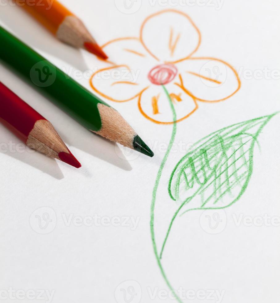 flower drawn with pencils photo