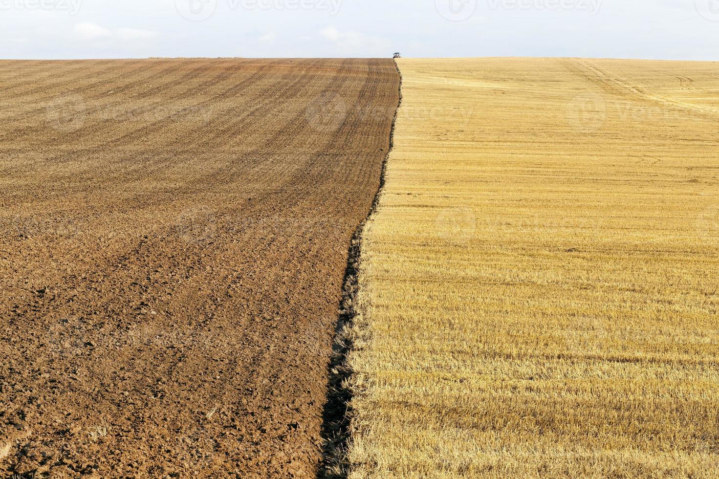 a half plowed agricultural field photo