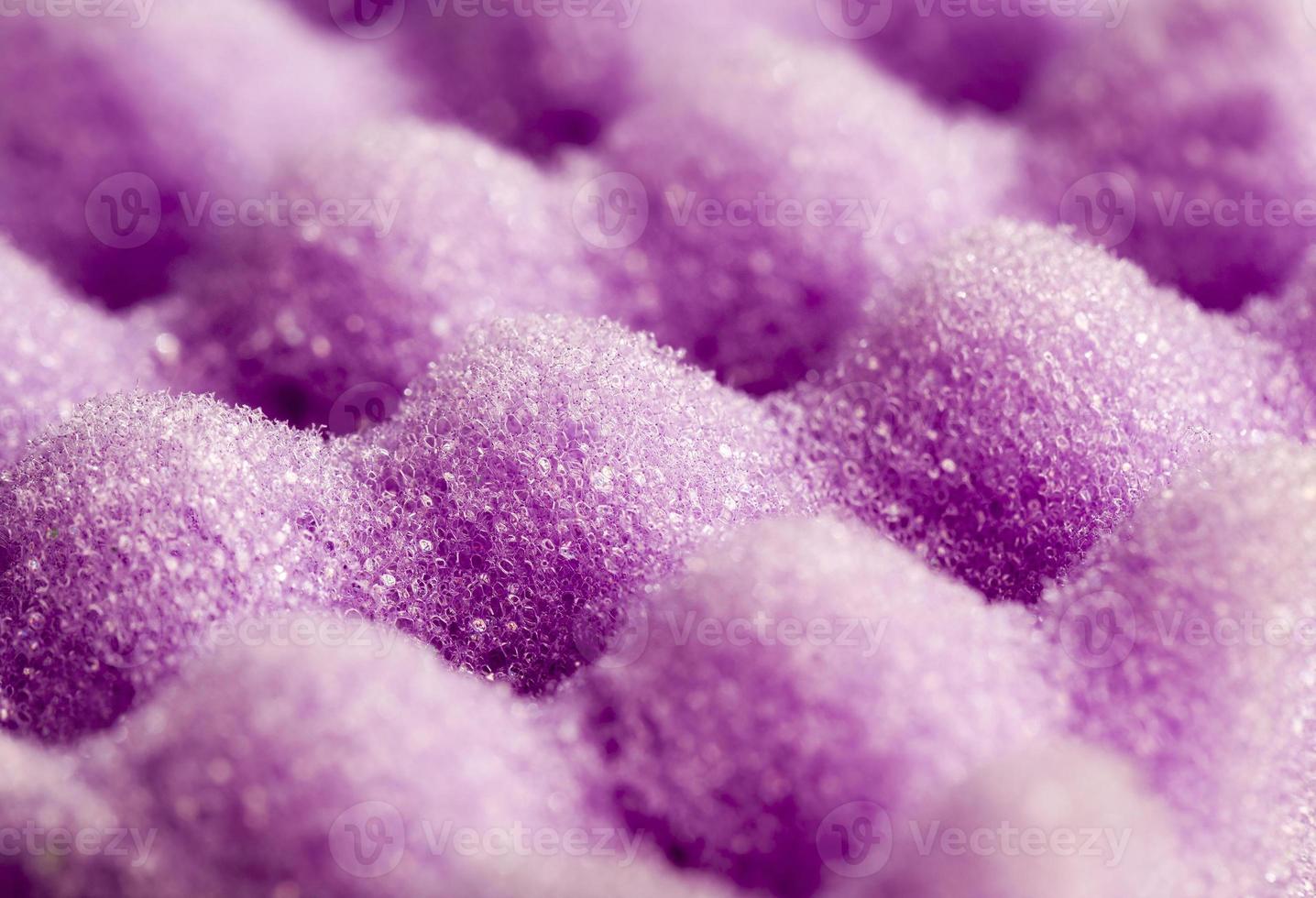 purple sponges, close up photo