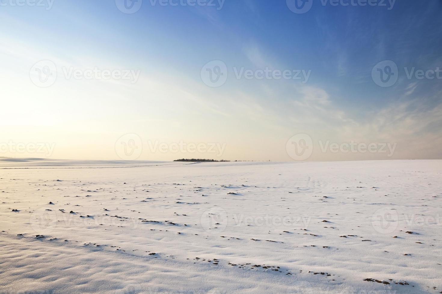 campo cubierto de nieve foto