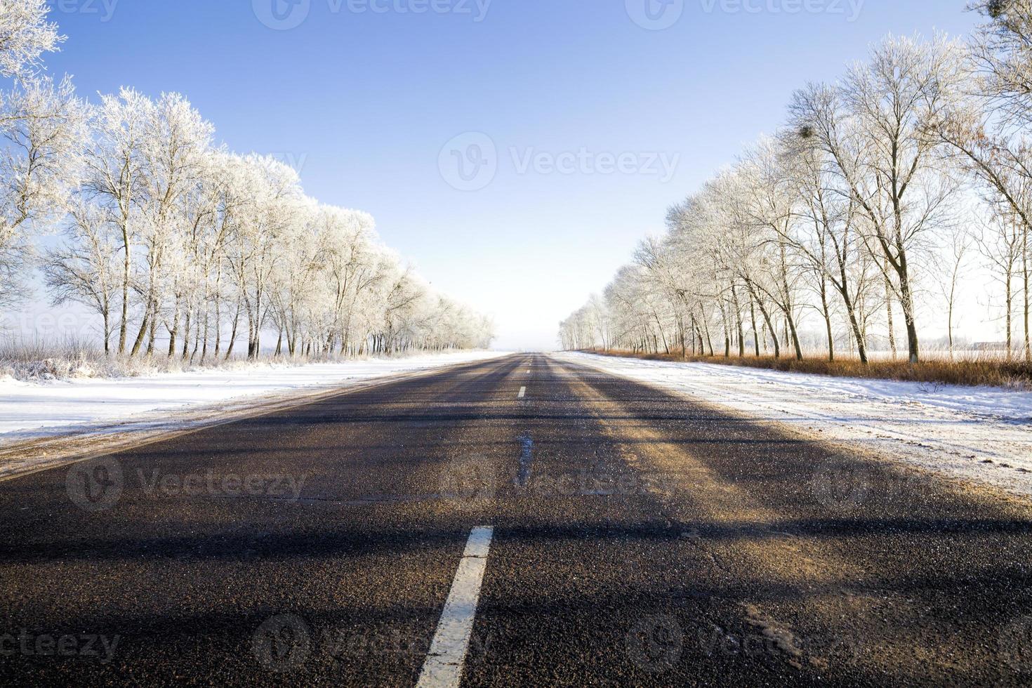 traces of the tread of cars photo