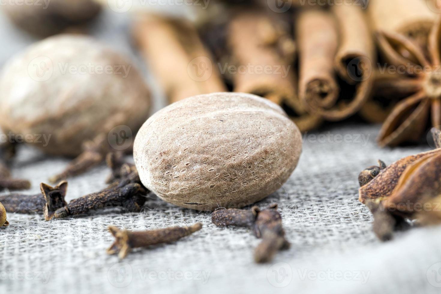 different kinds of spices photo
