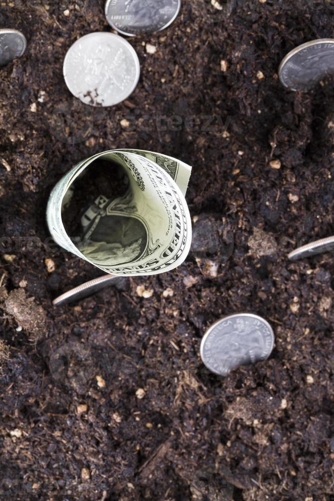 American money , field photo