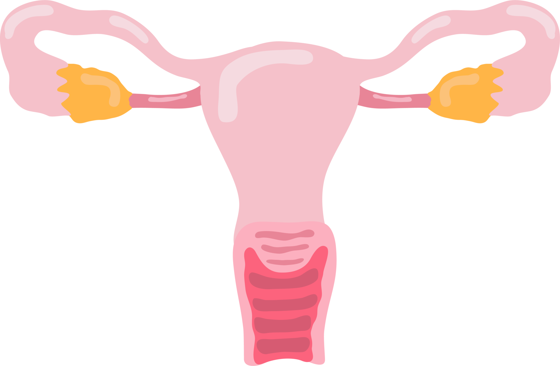 Ovary Human Internal Organ Anatomy Png Illustration Flat Design 9421021 PNG ovary-human-internal-organ-anatomy-png-illustration-flat-design-9421021-png