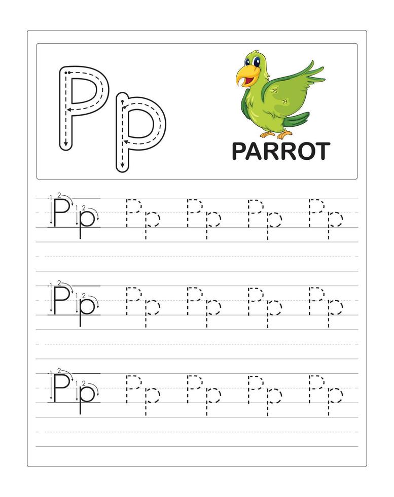 Children's Colorful Alphabet tracing practice worksheets, P is for Parrot vector