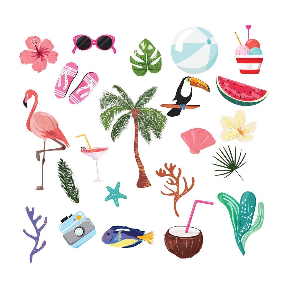 colección de elementos y animales tropicales de verano. vector