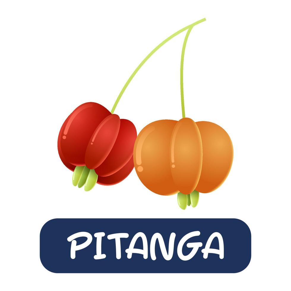 cartoon pitanga fruit vector isolated on white background