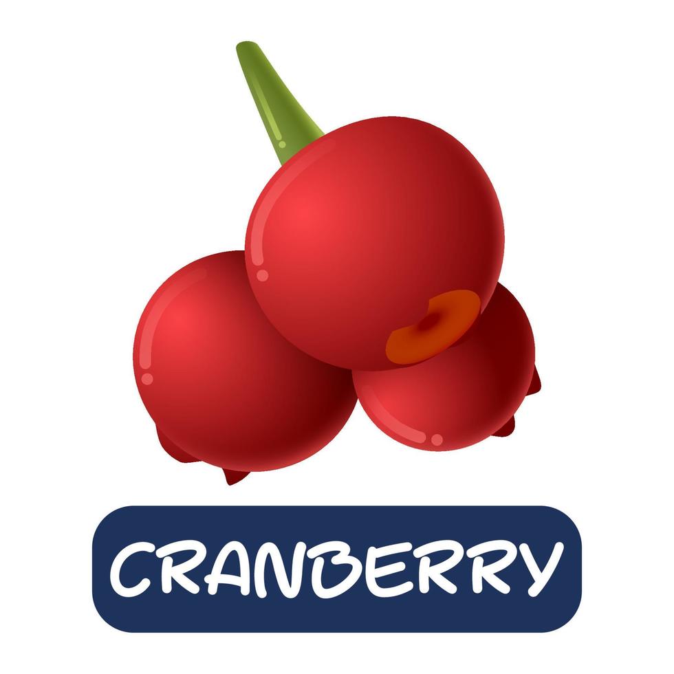 cartoon cranberry fruit vector isolated on white background