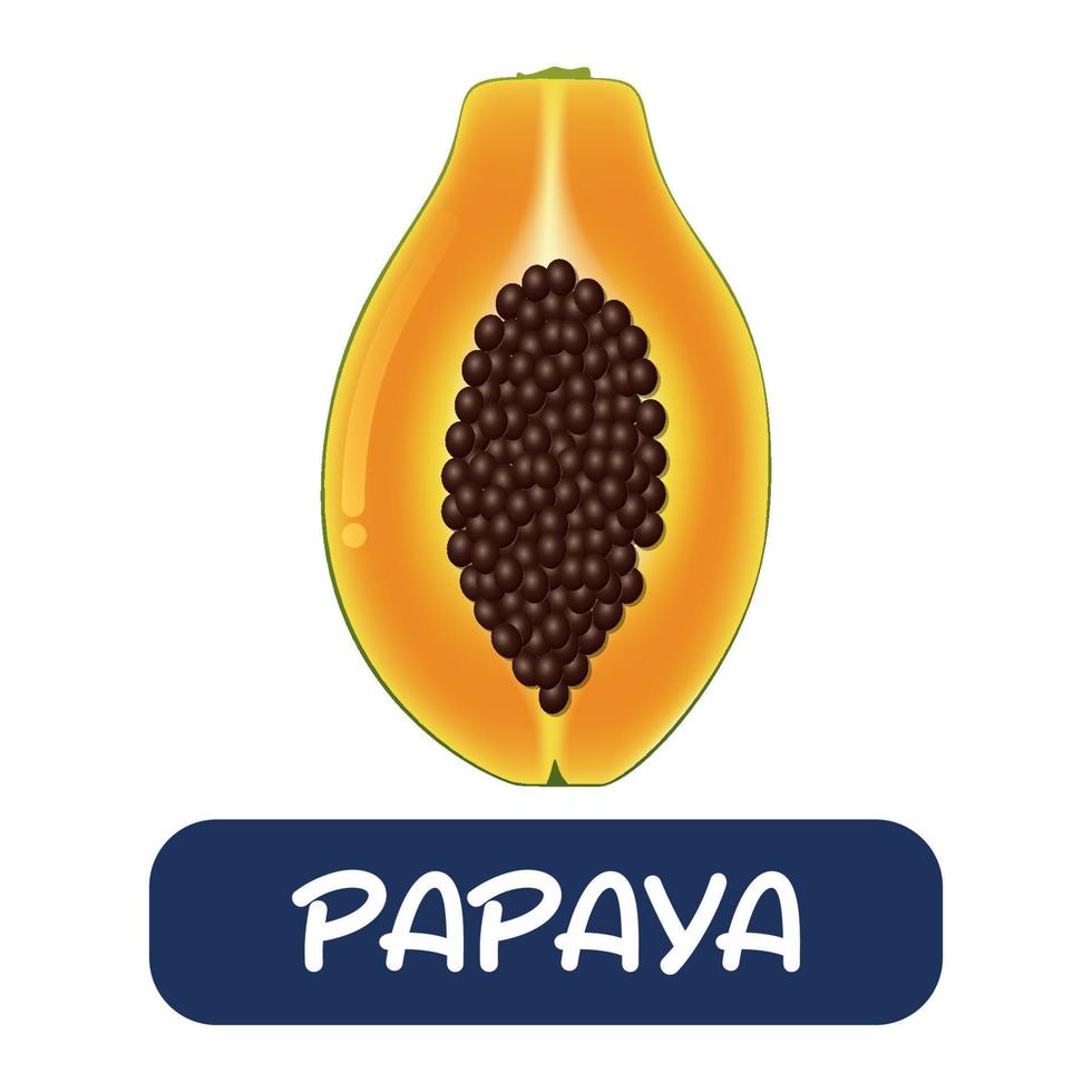 cartoon papaya fruit vector isolated on white background