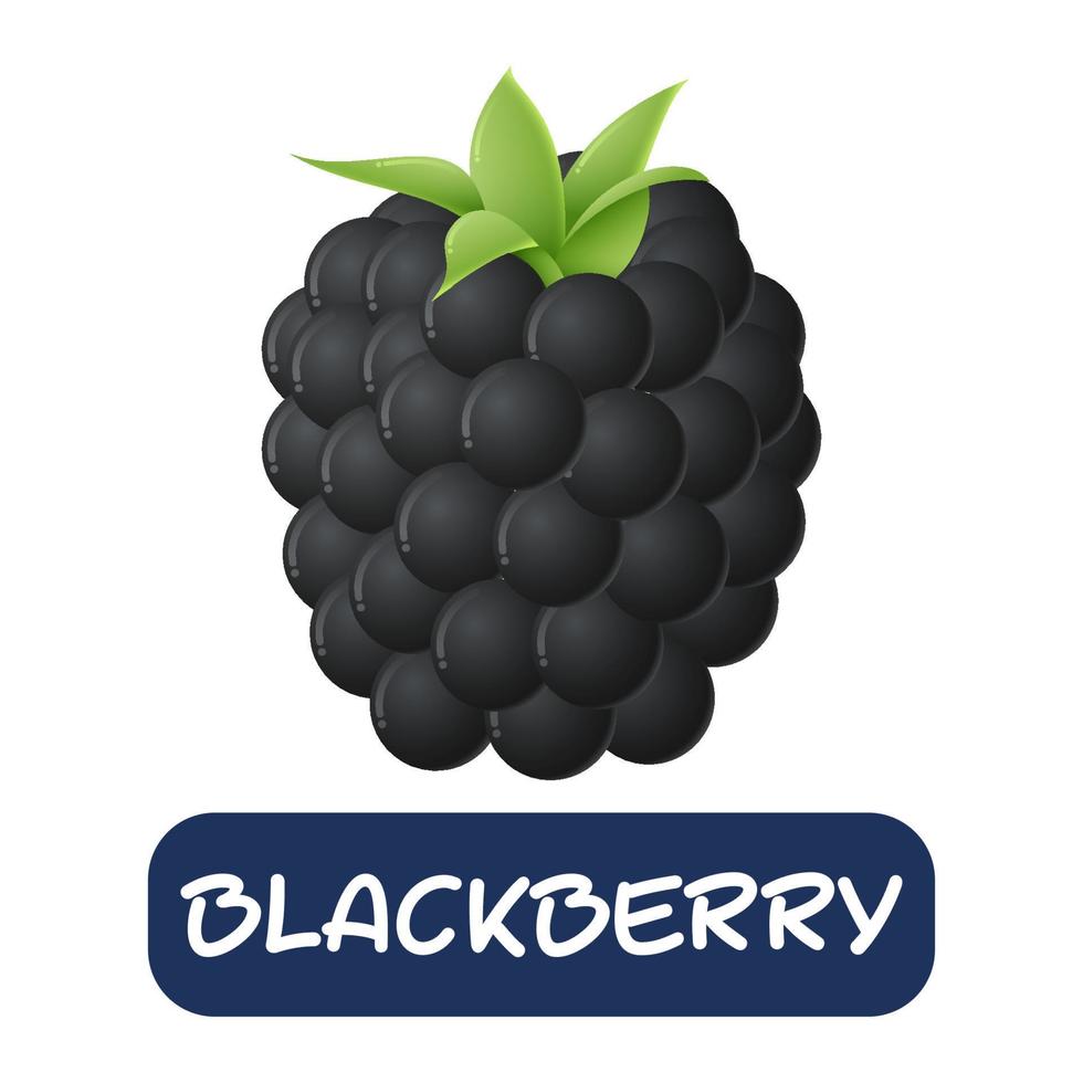 cartoon blackberry fruit vector isolated on white background