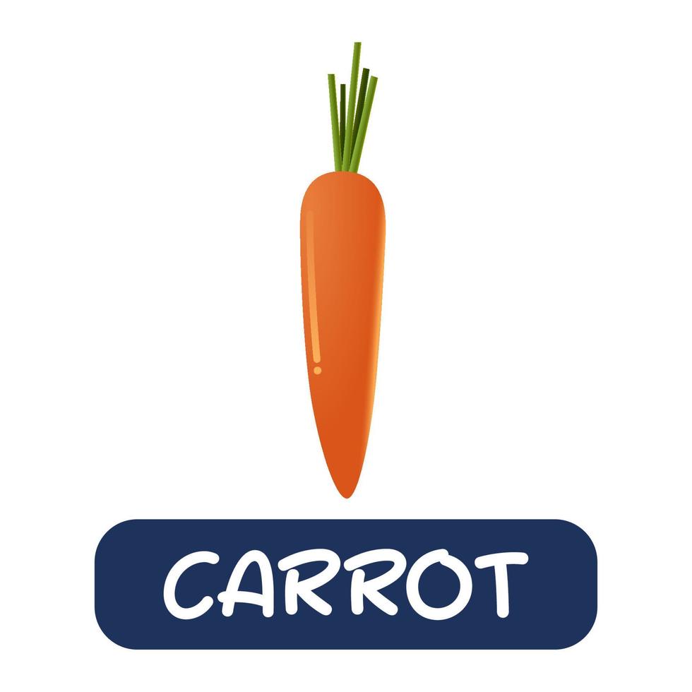 cartoon carrot vegetables vector isolated on white background