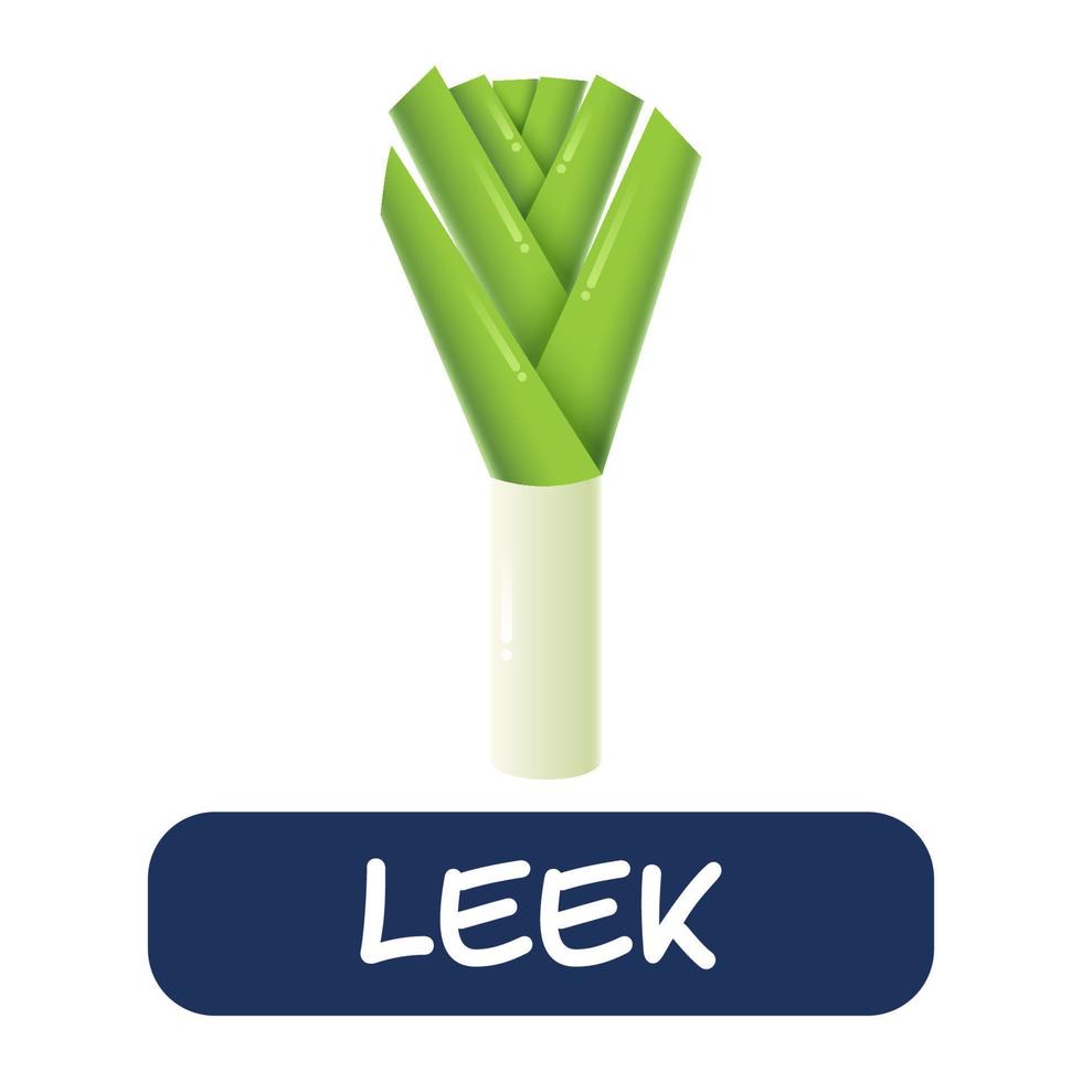 cartoon leek vegetables vector isolated on white background