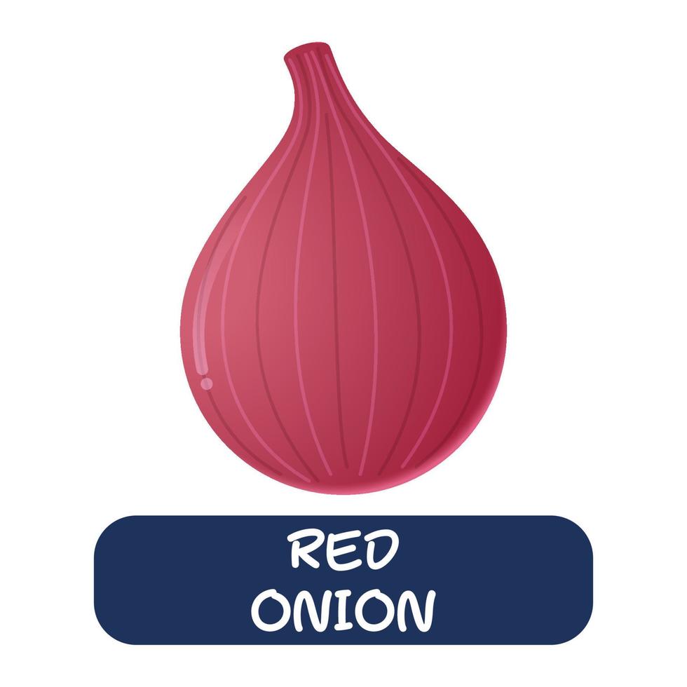 cartoon red onion vegetables vector isolated on white background
