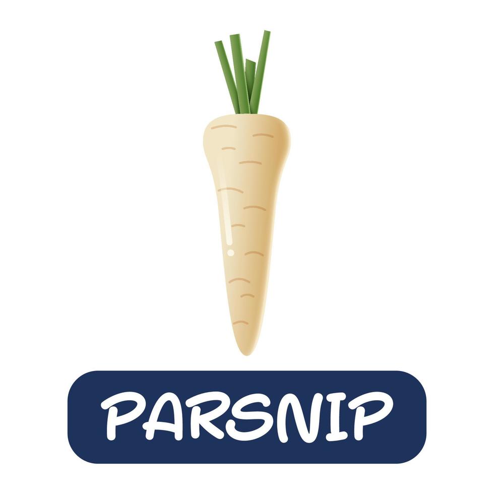 cartoon parsnip vegetables vector isolated on white background