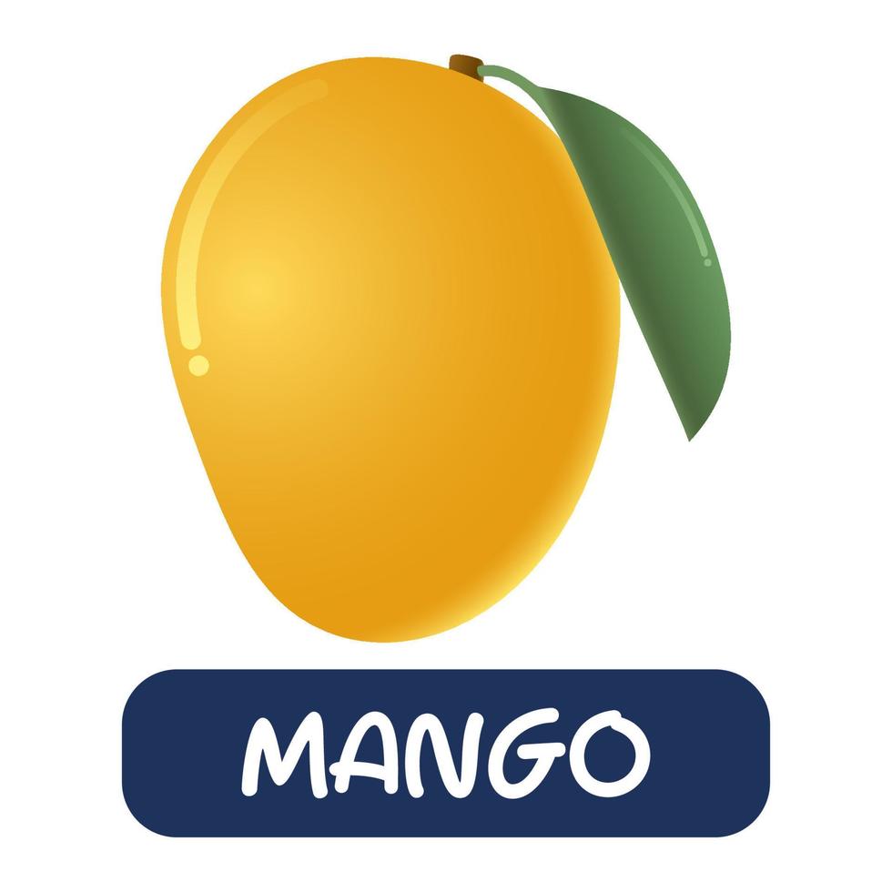 vector de fruta de mango de dibujos animados aislado sobre fondo blanco