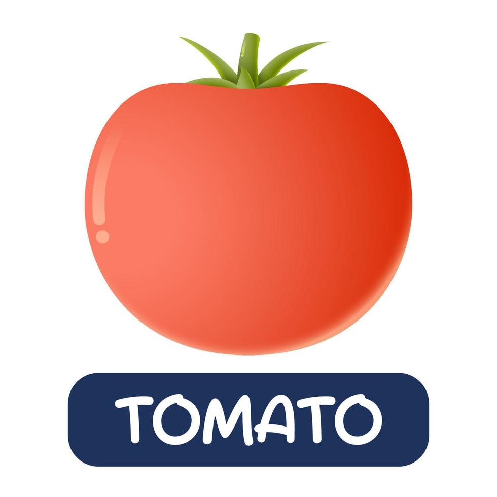 cartoon tomato vegetables vector isolated on white background