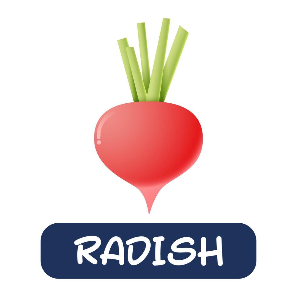 cartoon radish vegetables vector isolated on white background