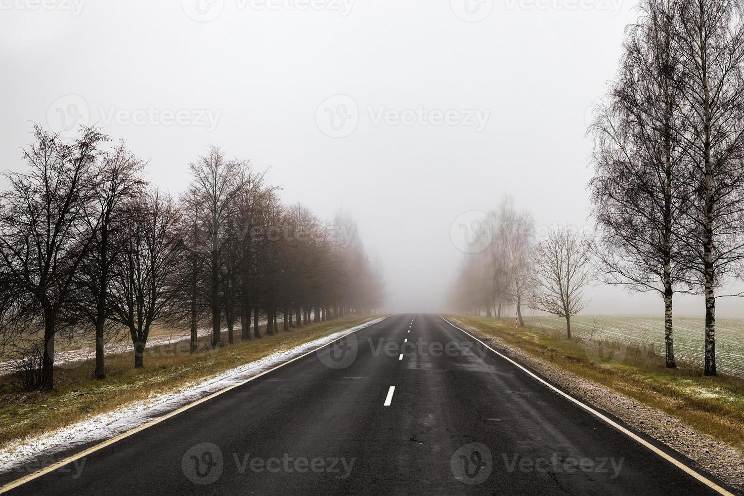 winter road, trees photo