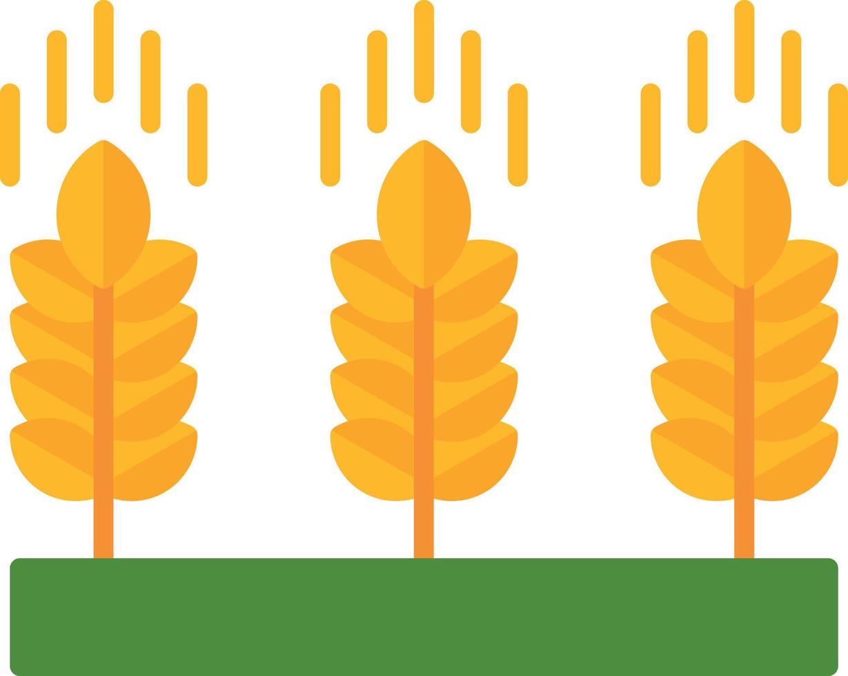 Wheat Flat Icon vector