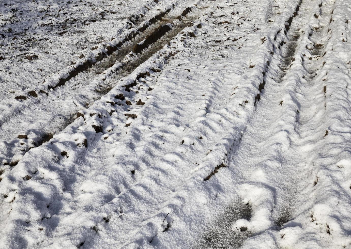 traces of the tractor photo