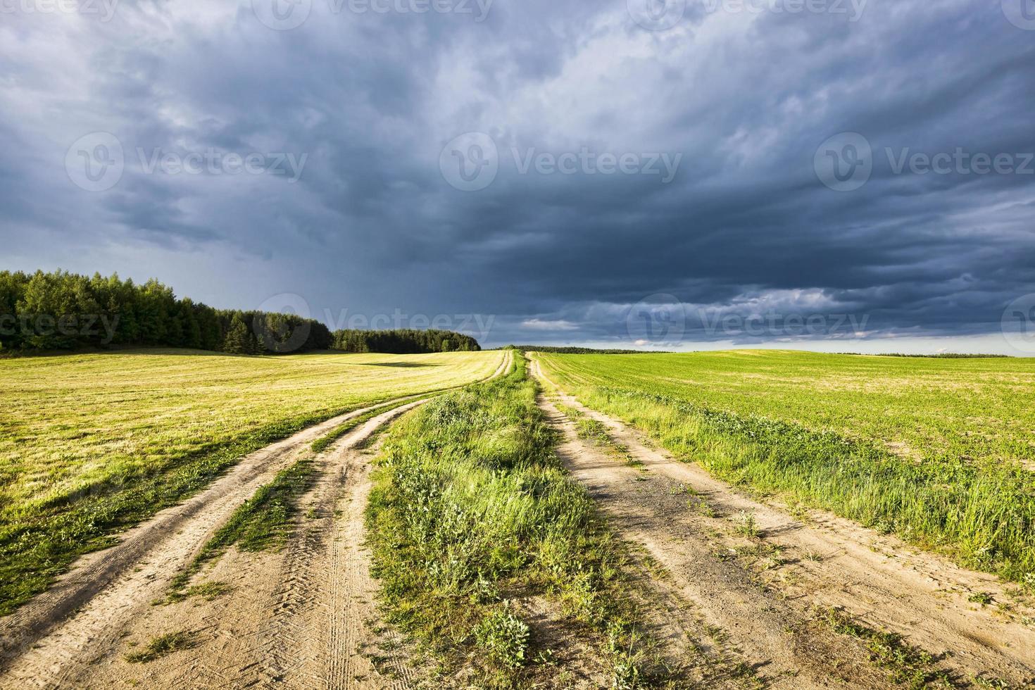 road tracks, 2 roads photo