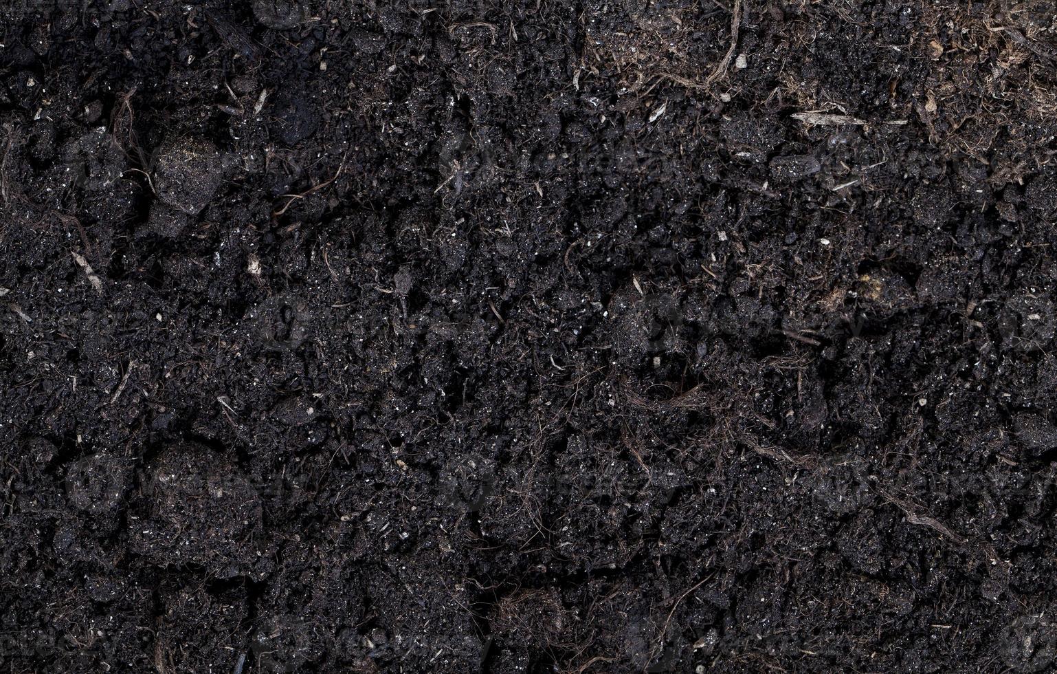 real fertile soil photo
