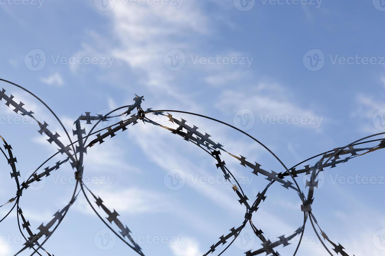 barbed wire, close up photo